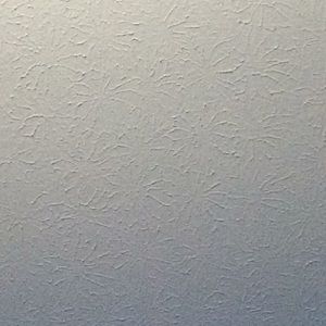 Meet your Posher, Jenni